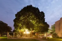 NEA Resort & People Hotels in Akko