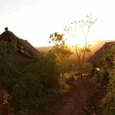 Crater Forest Tented Camp Others