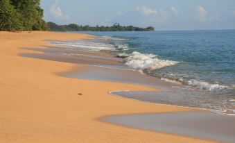 Bluff Beach Retreat