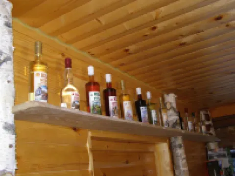 Apartments Mrakič Hotels in Municipality of Bovec