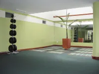 Apartahotel Vincent Suites