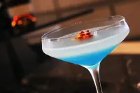 西貢日航飯店 - 5 星級