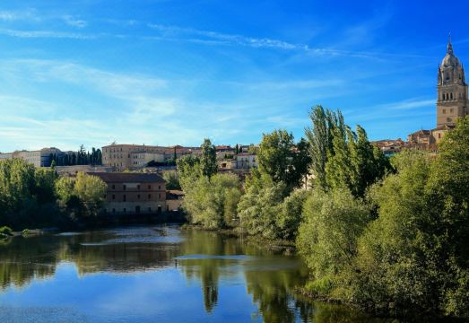 What Can You Do To Save Your casino From Destruction By Social Media?