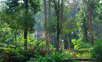 Green Spaces Munnar