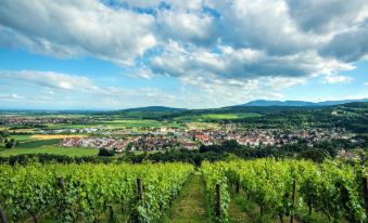 Zenitude Hôtel-Résidences les Portes d'Alsace