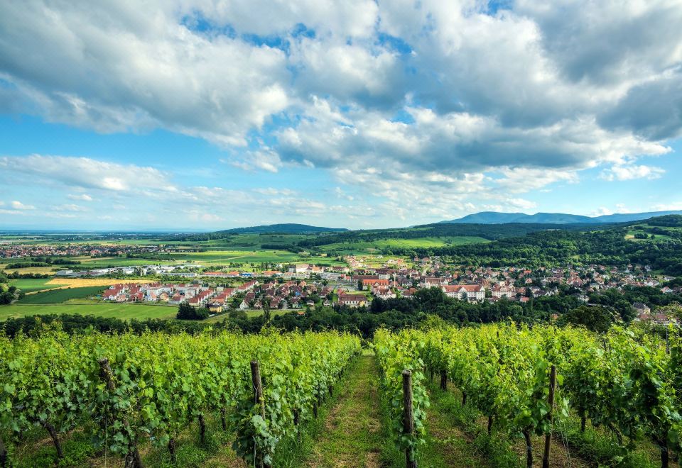 뮈치 컴포트 아파트호텔