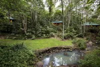Narrows Escape Rainforest Retreat