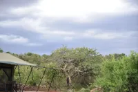 Basecamp Wilderness Hotel a 