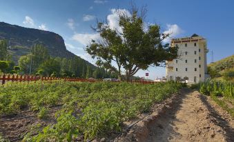 Kapadokya Hill Hotel & Spa (12+)