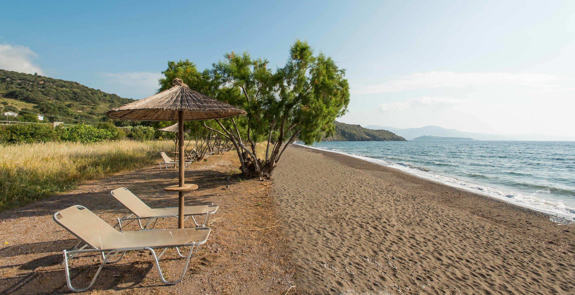 Delfinia Hotel & Bungalows