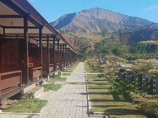 Nusantara Hotel Sembalun Room Reviews Photos Sembalun Lawang 2021 Deals Price Trip Com