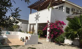 Aruba Lagunita