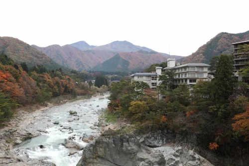 鬼怒川温泉 花の宿 松や おすすめ Photos