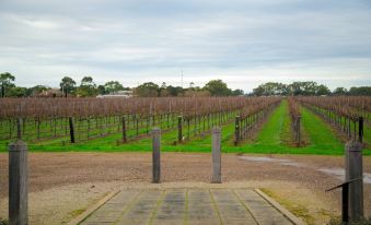 Yalumba Menzies Retreat