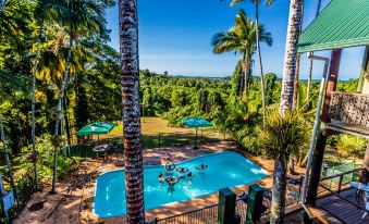 Jackaroo Treehouse Rainforest Retreat