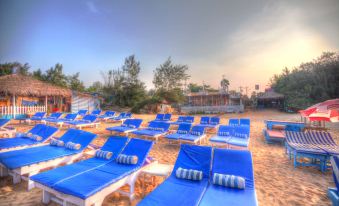 Estrela Do Mar Beach Resort - A Beach Property