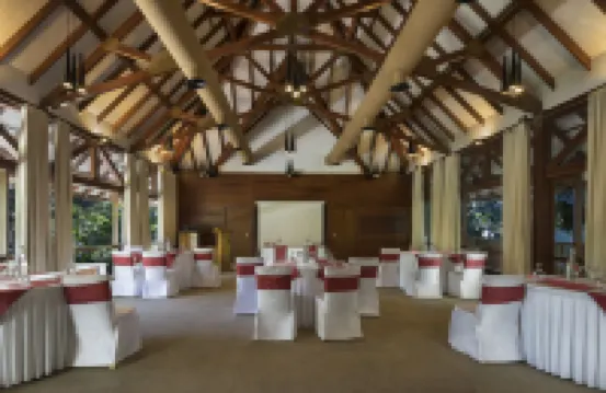 The Tamara Coorg