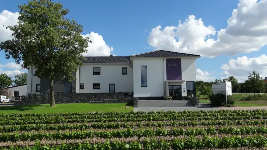 Meyerhof - Weingut, Vinothek & Gästehaus