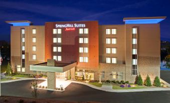 SpringHill Suites Chattanooga Downtown/Cameron Harbor