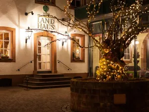 Romantik Hotel Landschloss Fasanerie