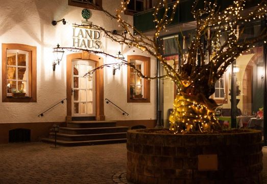 파사네리 호텔 수영장