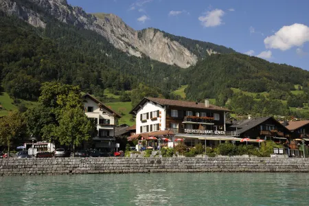 Hotel Brienzerburli Отели в г. Изельтвальд