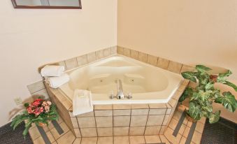 Best Western Plus Brandywine Inn  Suites