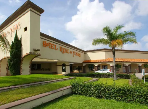 Hotel Real de Minas - Bares