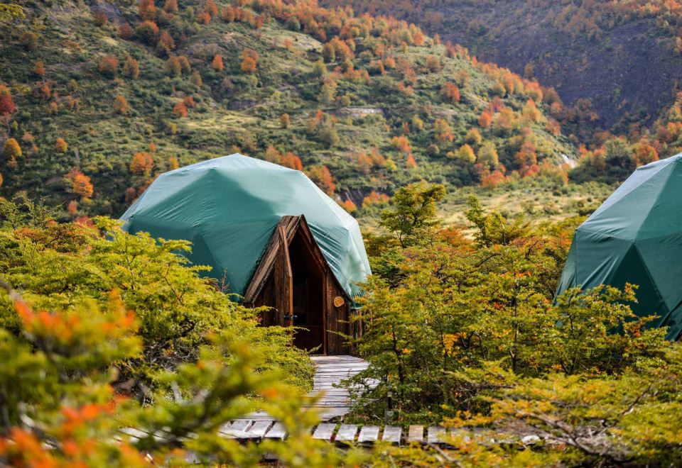 a group of tents are set up in a forested area , surrounded by trees and mountains at Ecocamp Patagonia
