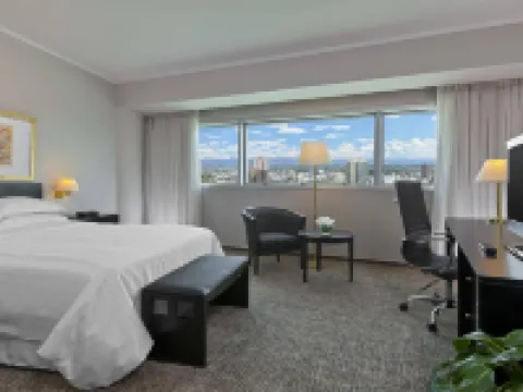 五百年紀念酒店 鄰近耶穌會廣場的酒店