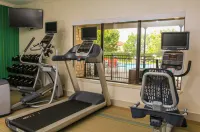 Holiday Inn Express & Suites Greenville by IHG - Gym