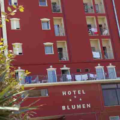 Hotel Blumen Hotel Exterior