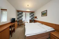 Apartmany Firn Hotels in Mlade Buky