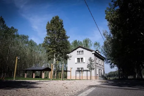 B&B Bortolino