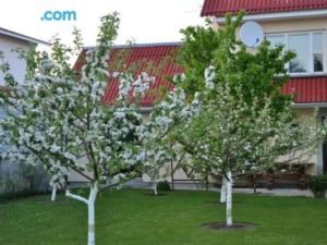 Guesthouse Na Borovoy