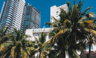 Shore Club South Beach Miami A - 220k12000000t3lk675E9 R 339 206 R5 D