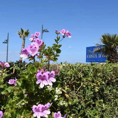 Hotel Costa d'Oro