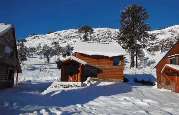 Tikilen 卡皮亞韋小屋