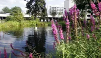 Eilenriedestift Hotel Hotels in Hannover