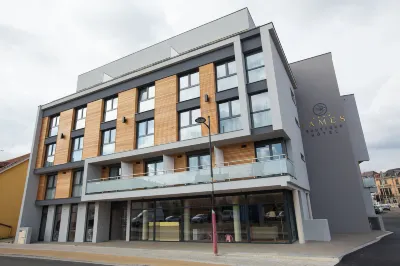 James Boutique Hôtel Colmar Centre Horbourg-Wihr 호텔
