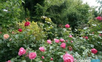Hotel Garni Inselparadies Zingst