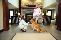 Sonesta ES Suites Dallas - Las Colinas Hotels in Irving