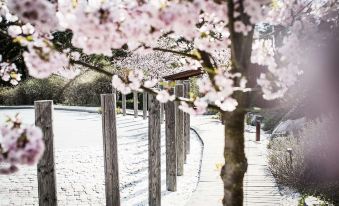 a snow - covered path with wooden posts on either side and a tree in full bloom at Yasuragi