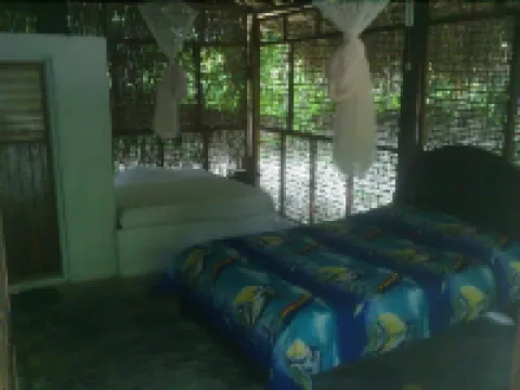 Eco Hotel Las Palmeras