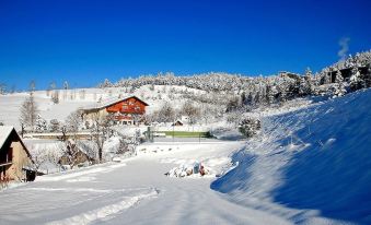 Logis Hotel les Playes