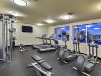 Holiday Inn 邁阿密國際機場 阿拉帕塔附近的飯店