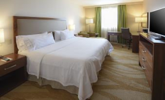 Holiday Inn Express & Suites Celaya