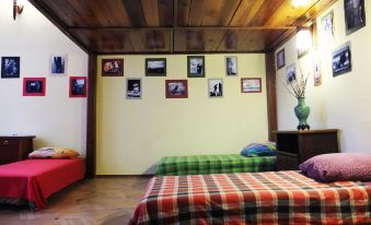 Freestyle Hostel