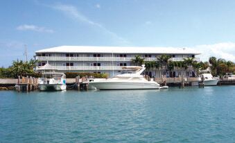 Flamingo Bay Hotel & Marina - Housity
