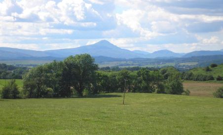 Baron House Bed & Breakfast - Housity